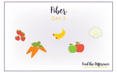 FTD – Day 3 – Fiber
