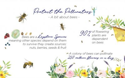 Earth Week: Protect the Pollinators