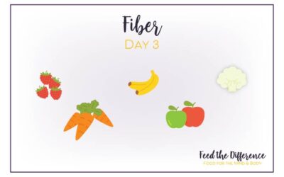 FTD – Day 3 – Fiber