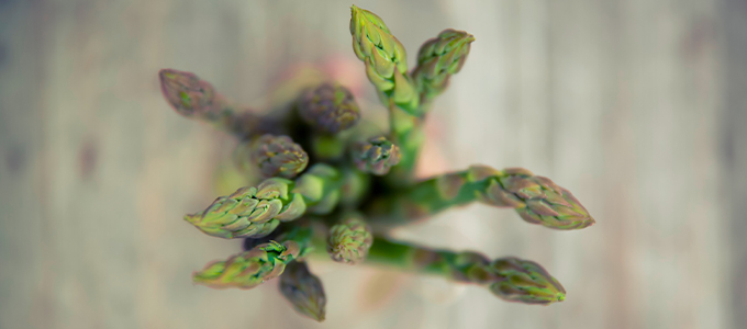 Simply Fresh Spring