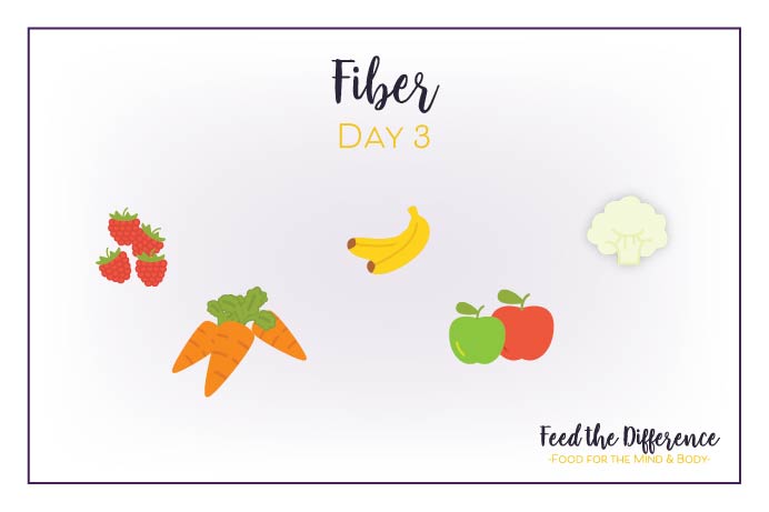 FTD – Day 3 – Fiber