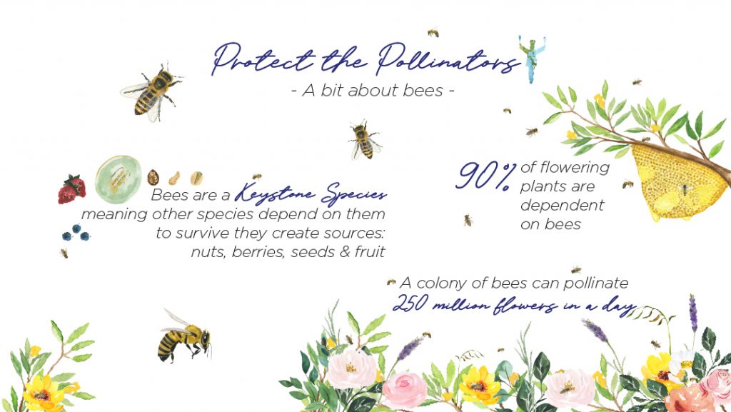 Earth Week: Protect the Pollinators