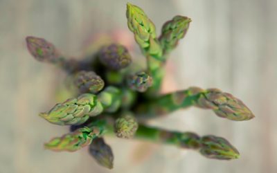 Simply Fresh Spring