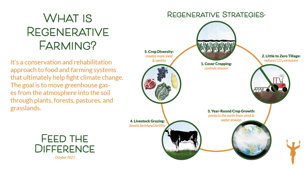 Feed the Difference – What Is Regenerative Farming?