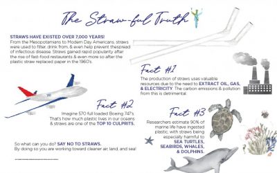 Earth Week: The Strawful Truth
