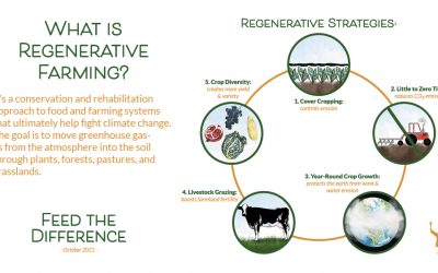 Feed the Difference – What Is Regenerative Farming?